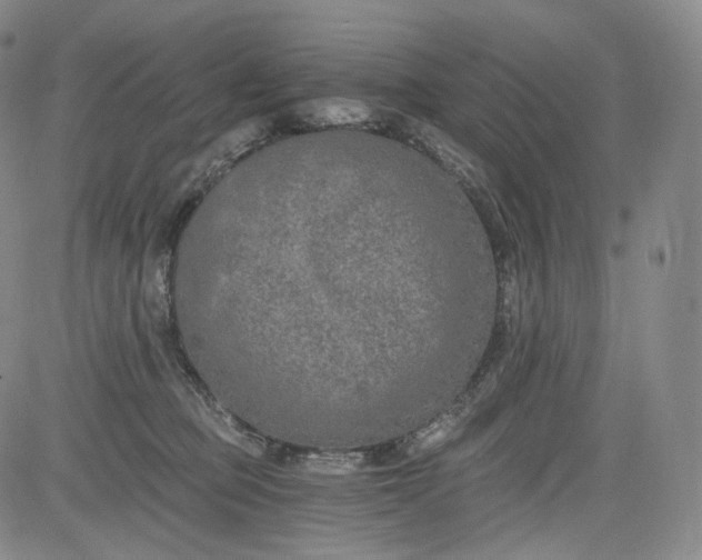 X0000084040373200703022155