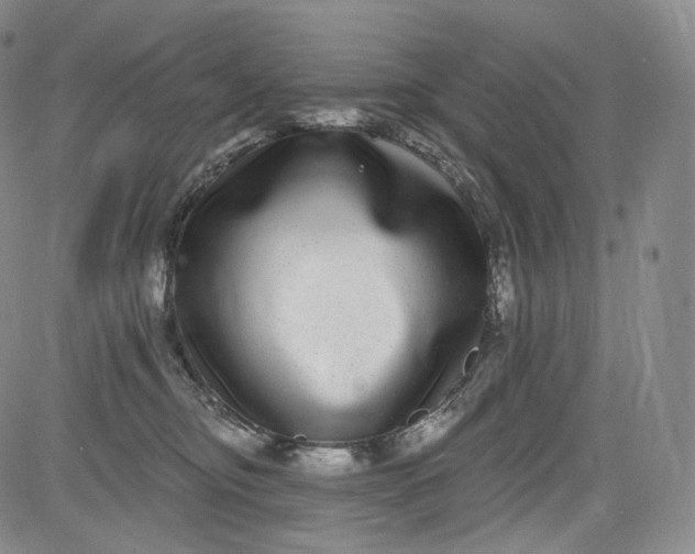 X0000084040374200703022155