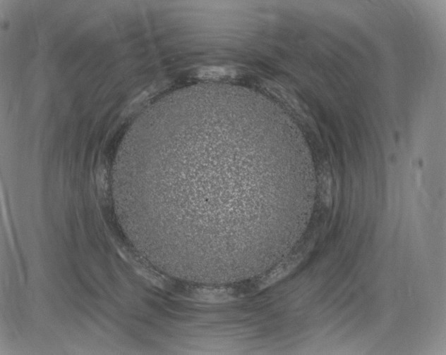 X0000084040375200703022155