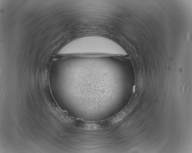 X0000084040376200703022155