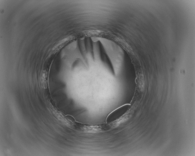 X0000084040378200703022155