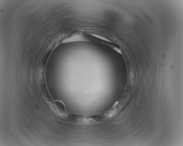 X0000084040379200703022155