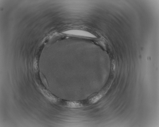 X0000084040380200703022155