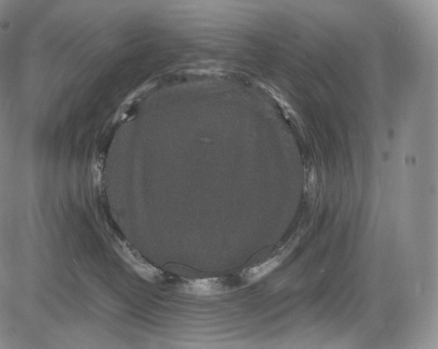 X0000084040382200703022155