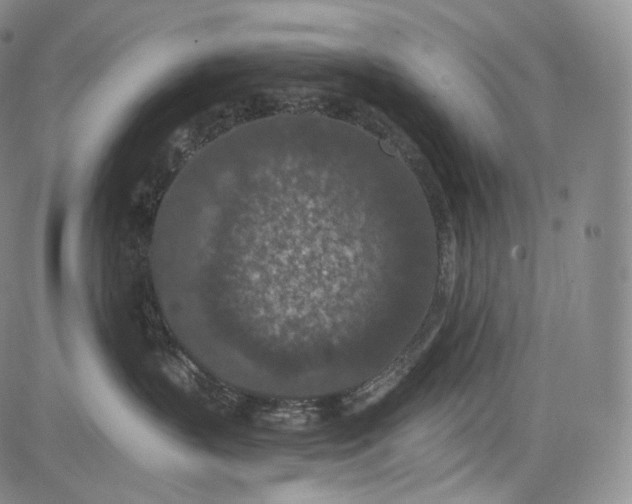 X0000084040383200703022155