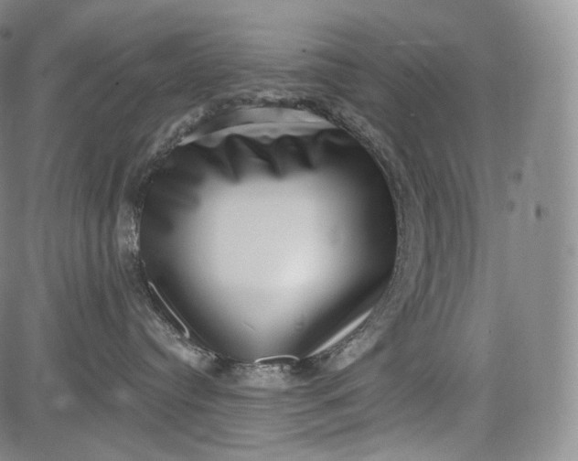 X0000084040384200703022155