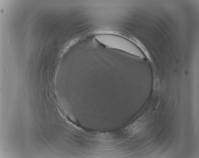 X0000084040385200703022154