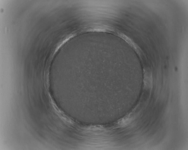 X0000084040386200703022154