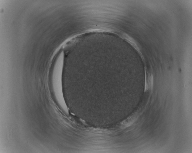 X0000084040387200703022154