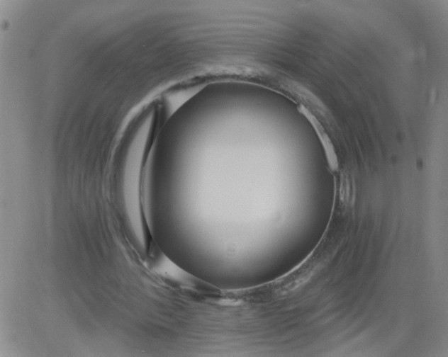 X0000084040388200703022154