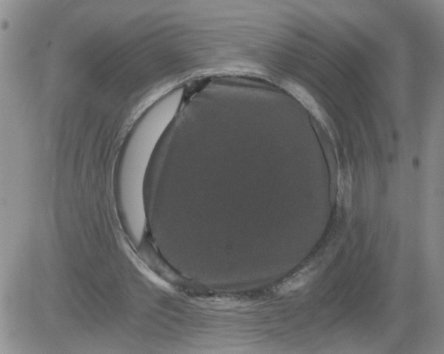 X0000084040389200703022154