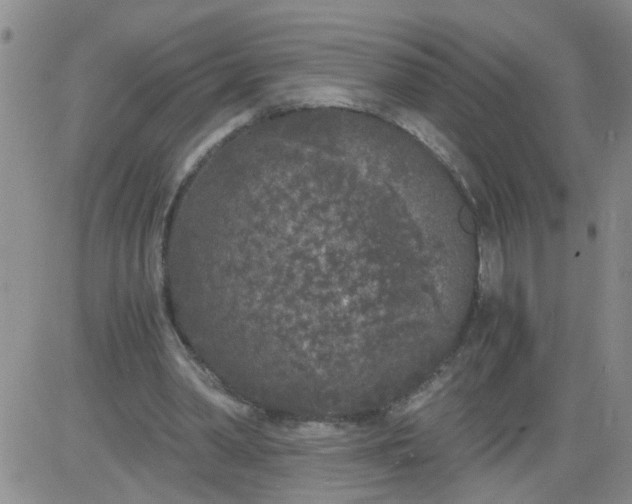 X0000084040390200703022154