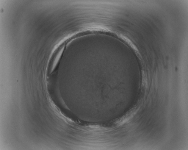 X0000084040391200703022154