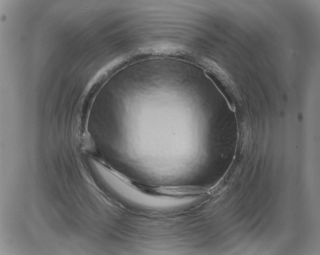 X0000084040392200703022154