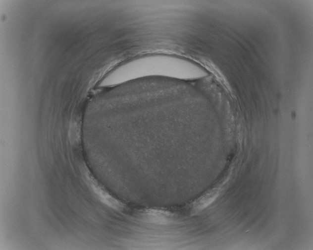 X0000084040393200703022154