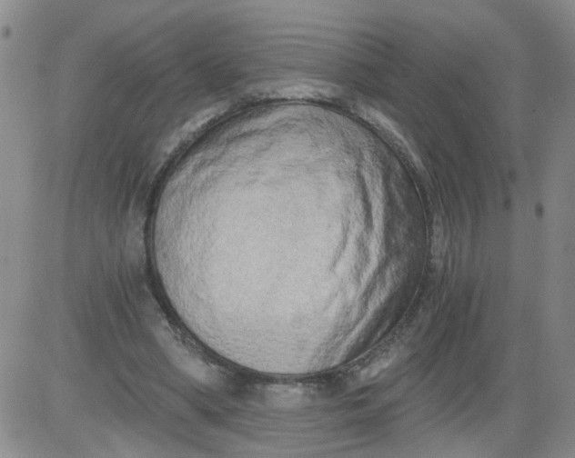 X0000084040394200703022154