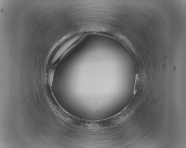 X0000084040395200703022154