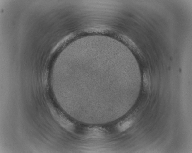 X0000084040396200703022154