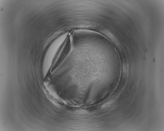 X0000084040397200703022154