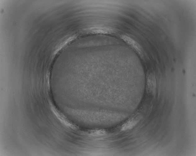 X0000084040398200703022154