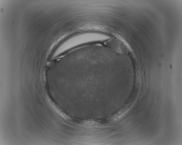 X0000084040399200703022154