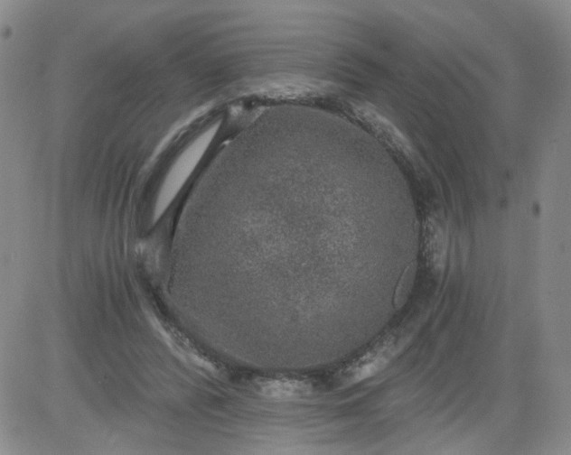 X0000084040400200703022154