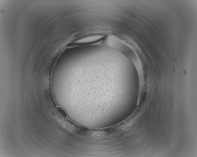 X0000084040401200703022154