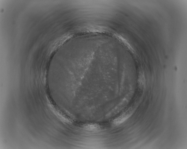 X0000084040402200703022154