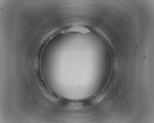 X0000084040403200703022154