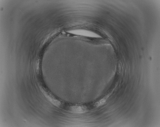 X0000084040404200703022154