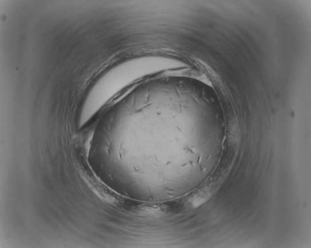 X0000084040405200703022154