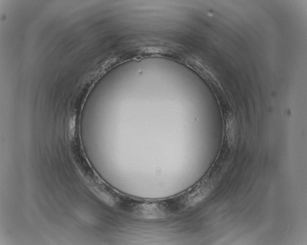 X0000084040406200703022154