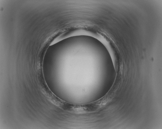 X0000084040407200703022154