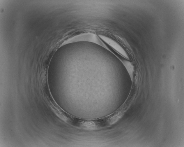 X0000084040409200703022154