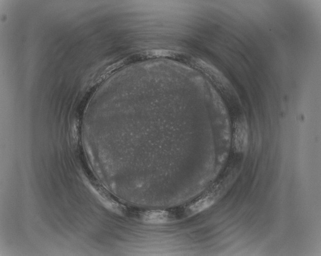 X0000084040410200703022154