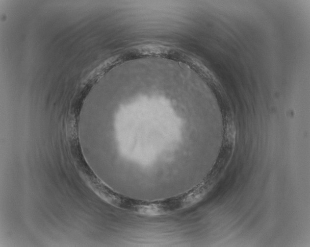 X0000084040411200703022154