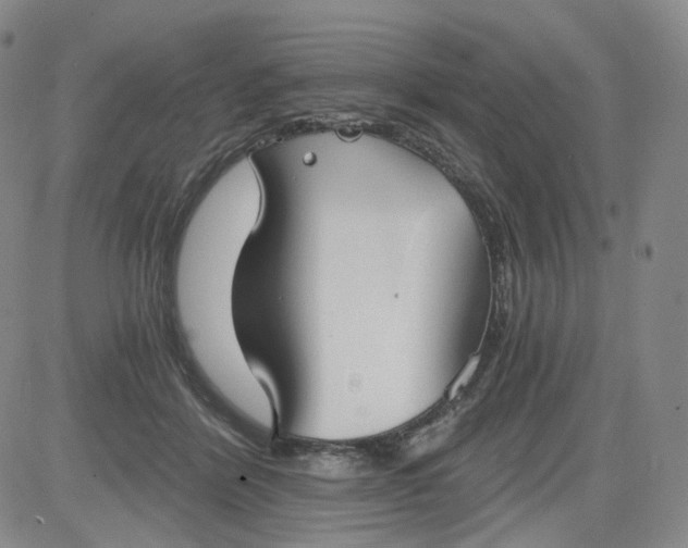 X0000084040412200703022154