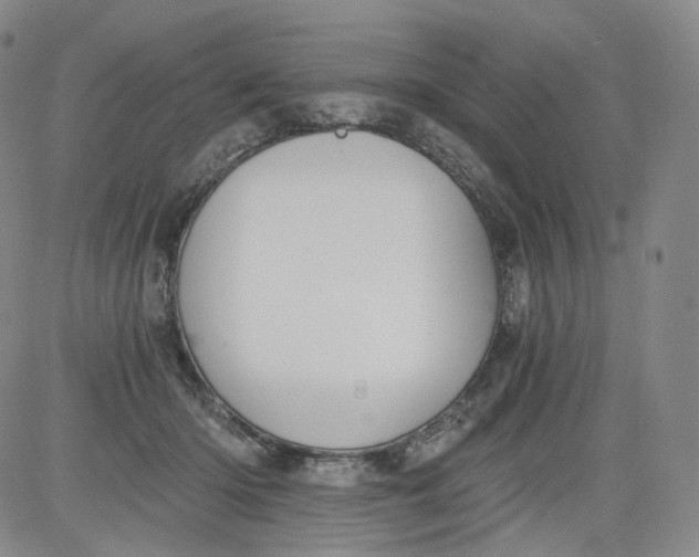 X0000084040414200703022154