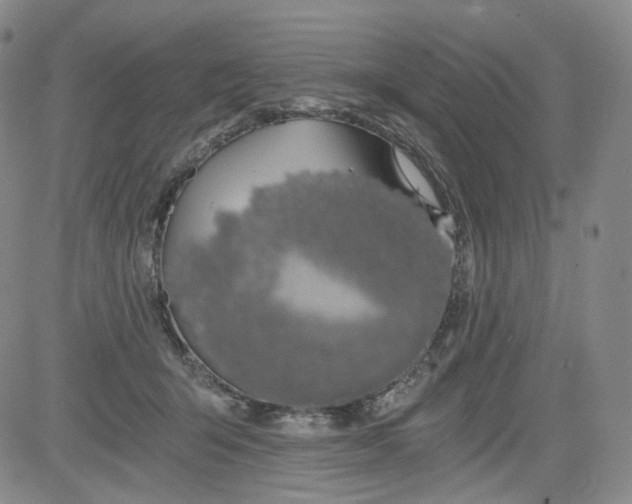 X0000084040415200703022154