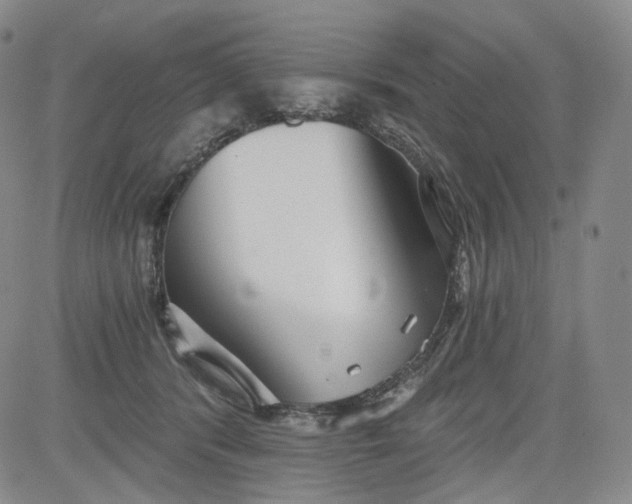 X0000084040416200703022154