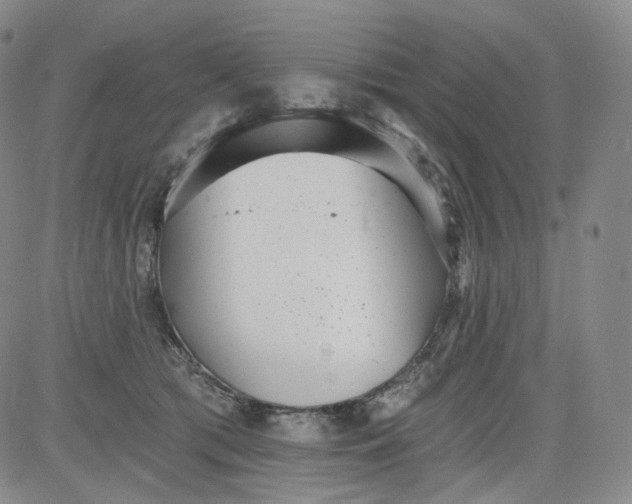 X0000084040417200703022154