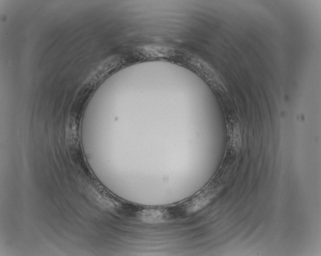 X0000084040418200703022154