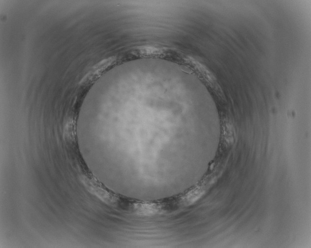 X0000084040419200703022154