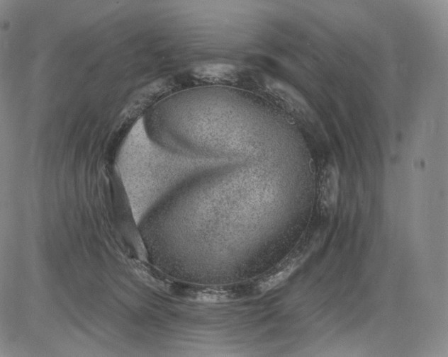 X0000084040420200703022154