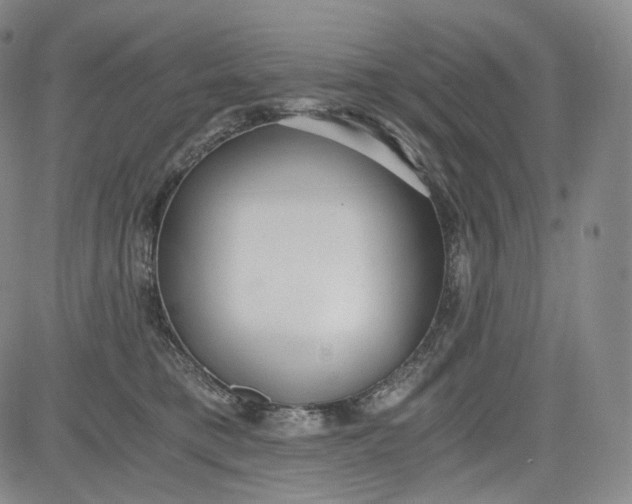 X0000084040421200703022154