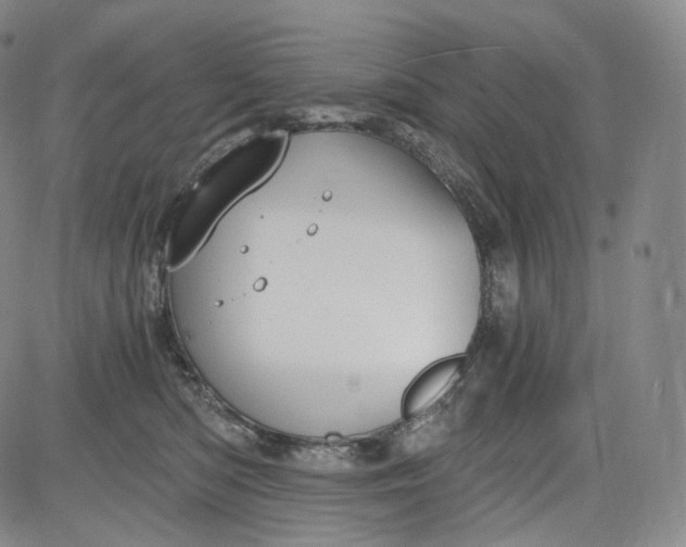 X0000084040422200703022154