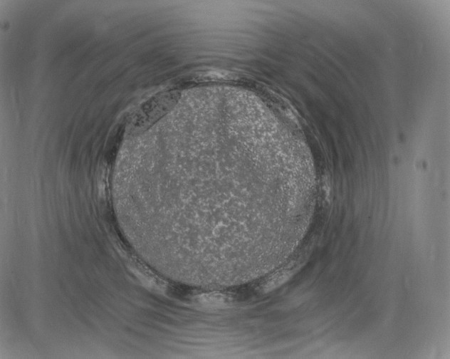 X0000084040423200703022154