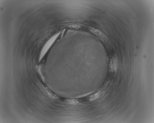 X0000084040424200703022154