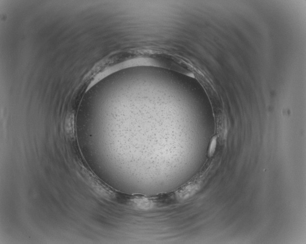 X0000084040425200703022154