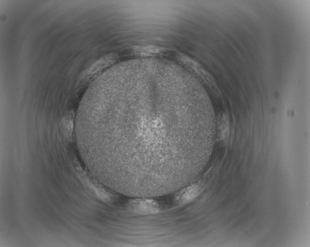 X0000084040427200703022154